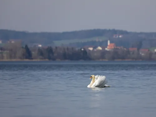 Camping Strandbad Bootsverleih Wagner 5