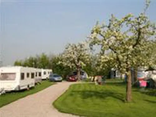 Camping 't Boomgaardje 5