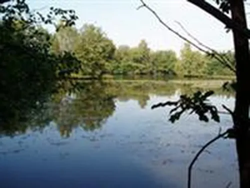 Camping 't Hertenhof 2