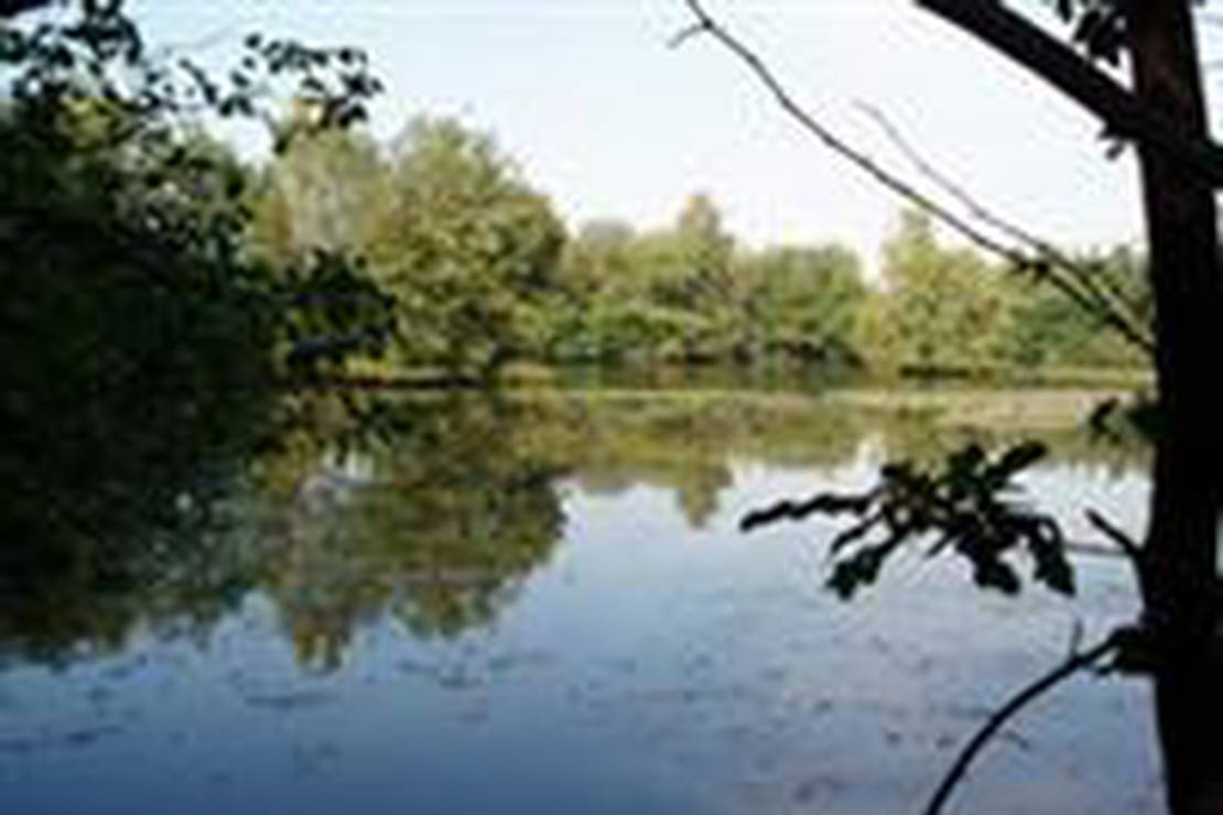 Camping 't Hertenhof 3