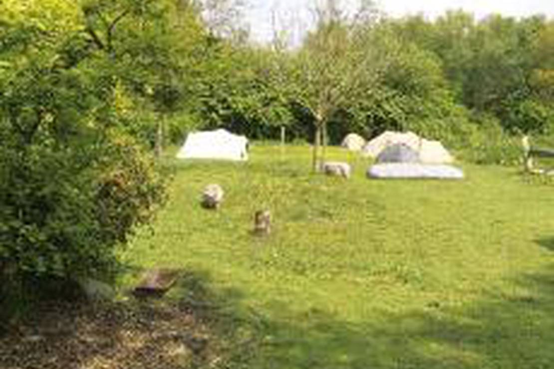 Camping 't Hooge Veentje 4