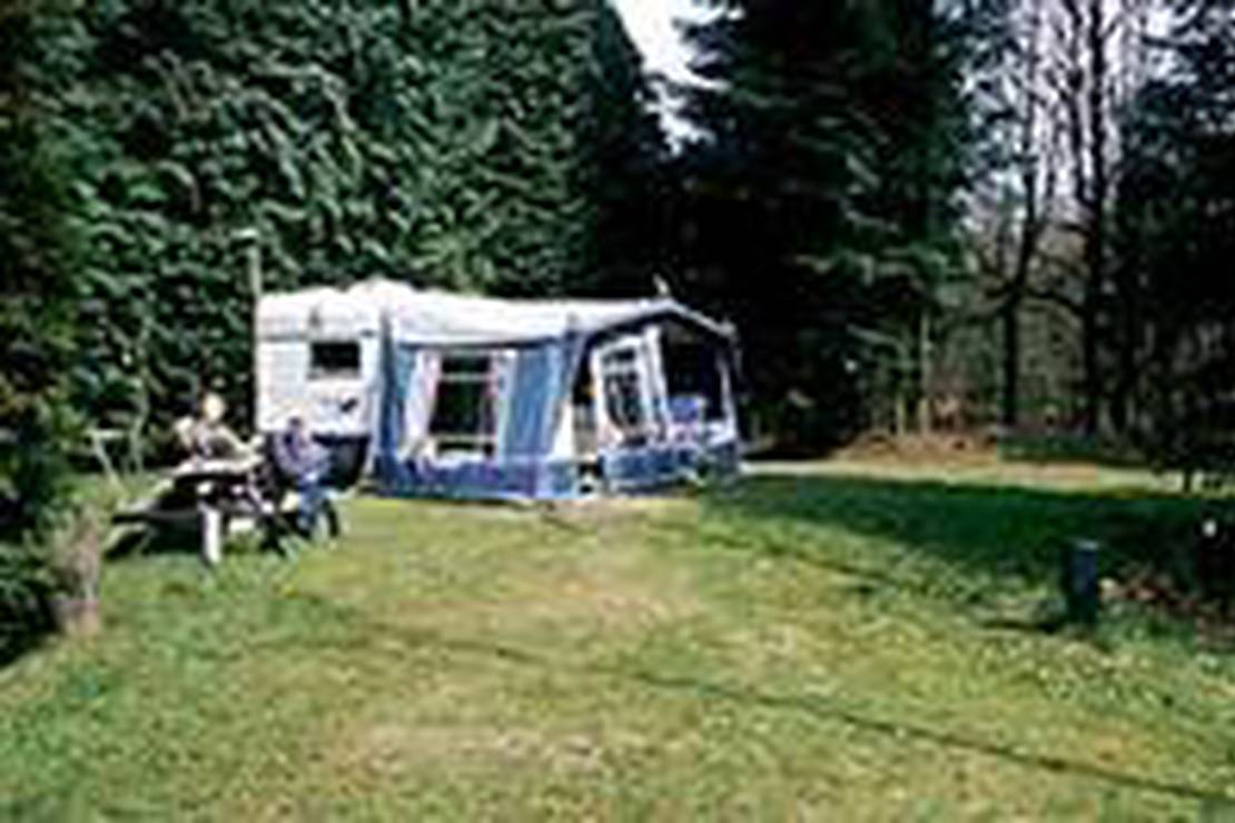Camping 't Vlintenholt 4
