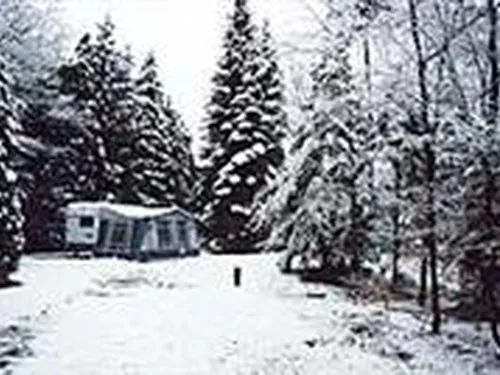 Camping 't Vlintenholt 5