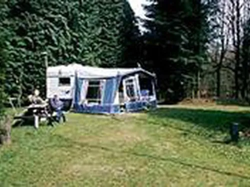 Camping 't Vlintenholt 3