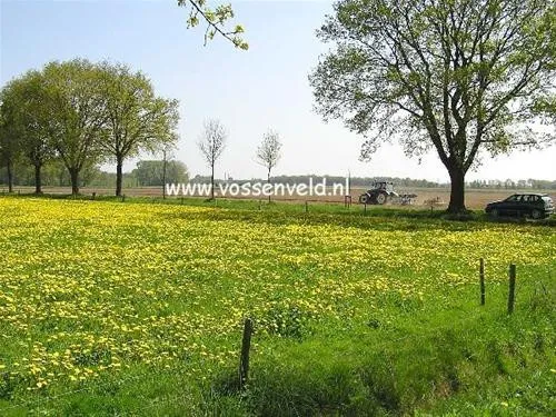 Camping 't Vossenveld 5