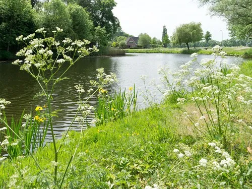 Camping 't Walfort 6