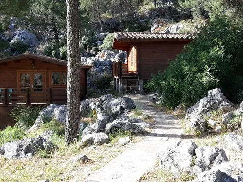 Camping Tajo Rodillo 5