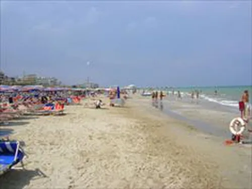 Camping Tenuta Tredici Ulivi 5