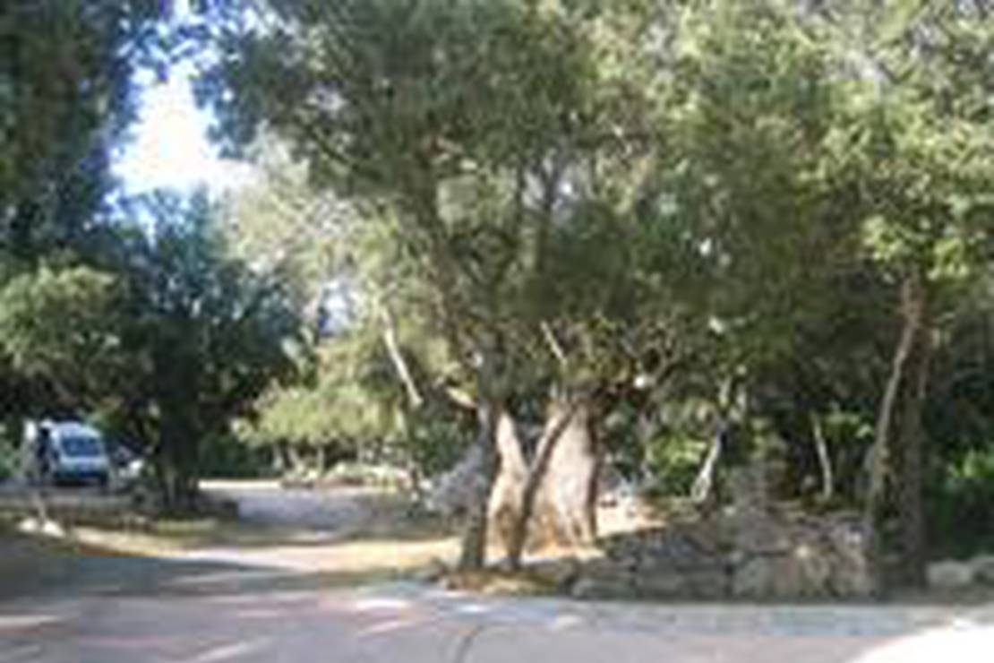 Camping Tizzarella 4