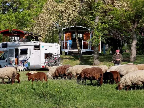 Camping Touristique de Gien 5