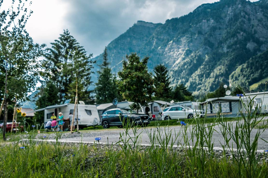 Camping TRAUBE BRAZ 4