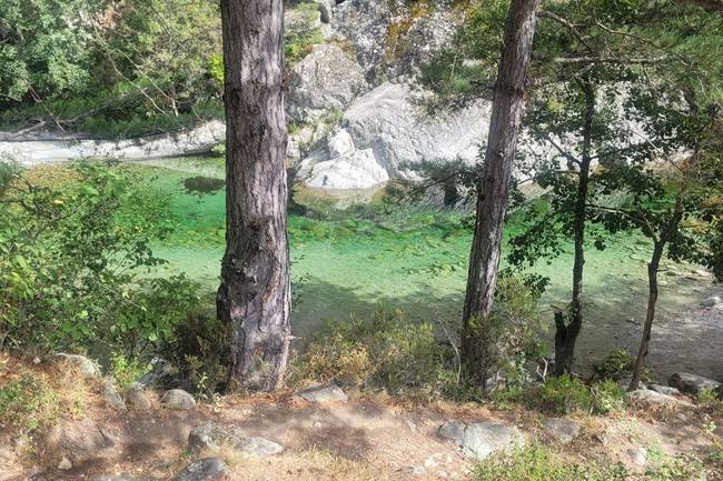 Camping Tuani image 0