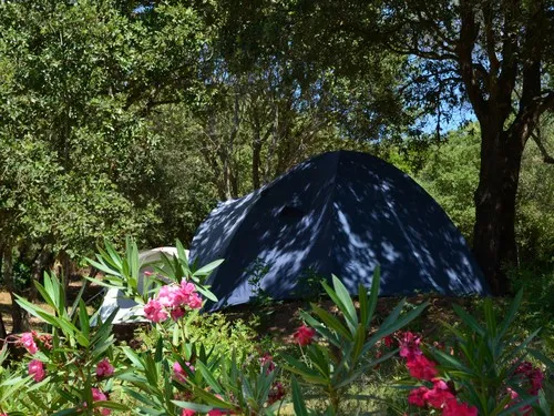 Camping U Libecciu 5