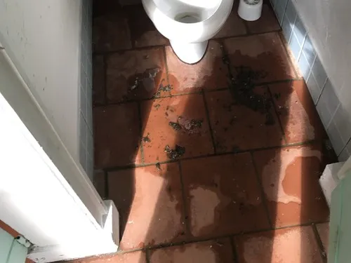 Camping U Punticchiu 6