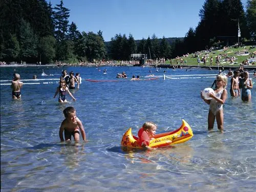 Camping und Ferienpark Brilon 8