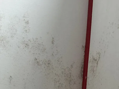 Camping- und Ferienpark Markgrafenheide 6