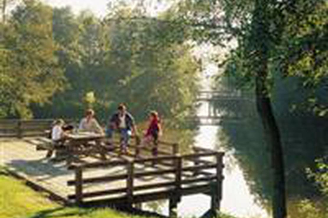 Camping Vakantiepark Het Timmerholt 3