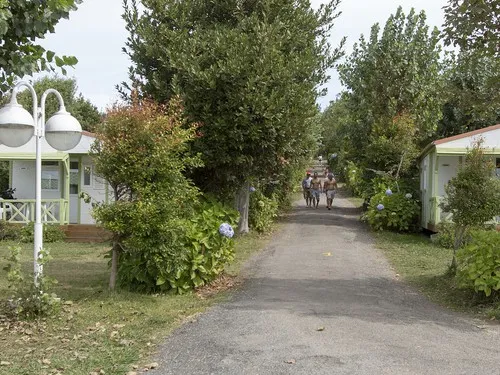 Camping Valdoviño 4