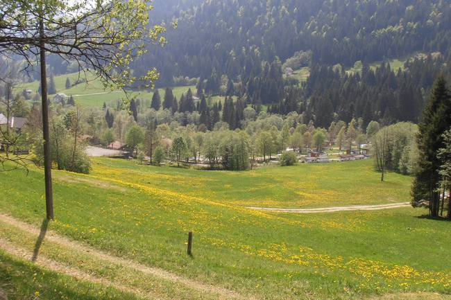 Der Platz