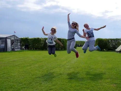 Midicamping Van der Burgh 4