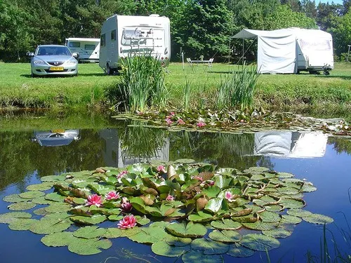 Camping Verbelnieki 3