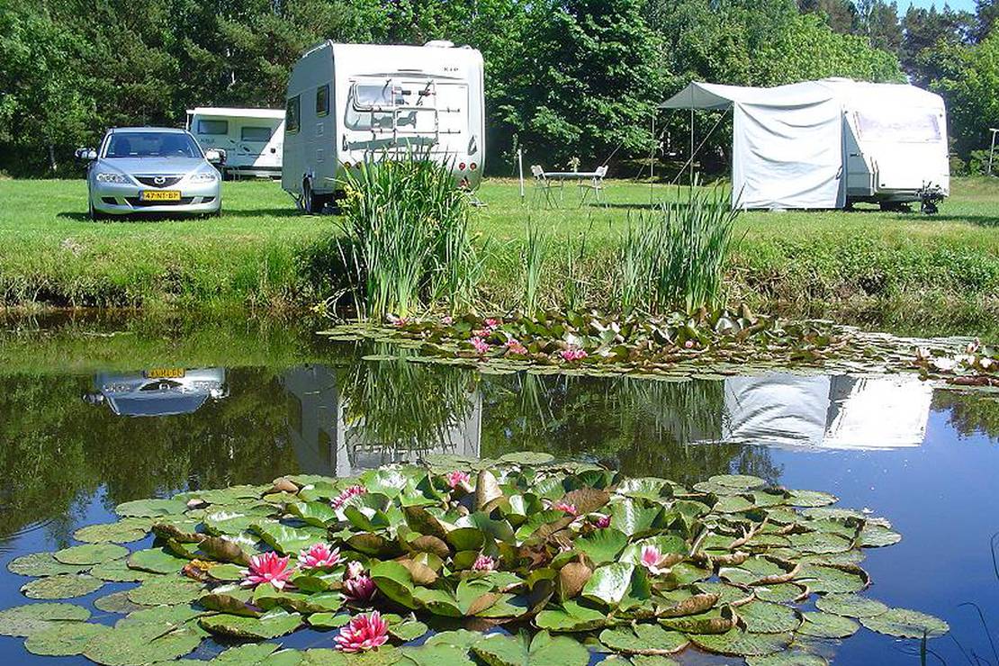 Camping Verbelnieki 4