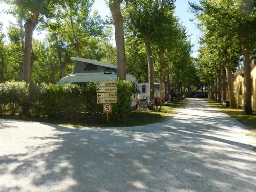 Camping Viareggio 7