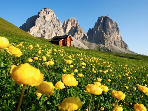 Camping Vidor Family & Wellness Resort image 2