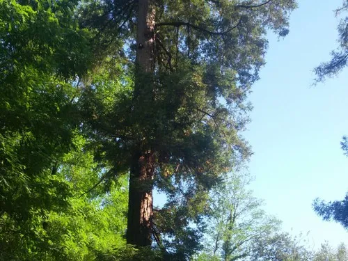 Camping Villa Doria 4