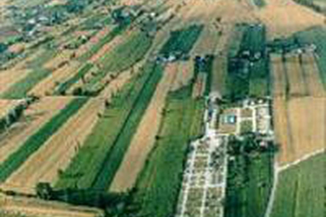 Camping Villa Ortoguidone e Città di Gubbio 3