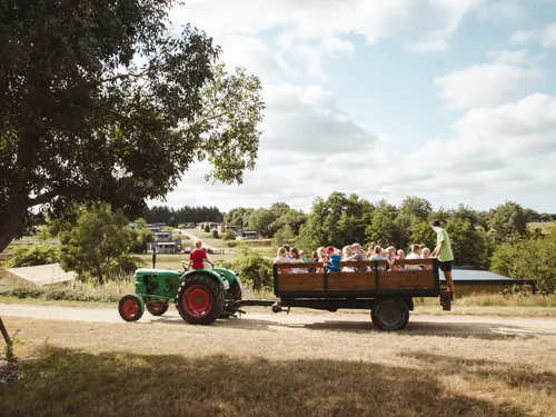 Camping Village de la Guyonnière 5