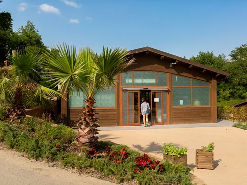 hu Firenze Certosa camping in town 5