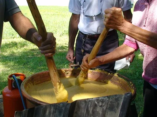 Camping Village La Grolla 5