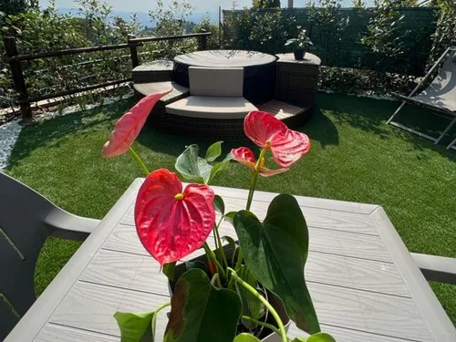 Camping Village Panoramico Fiesole 4