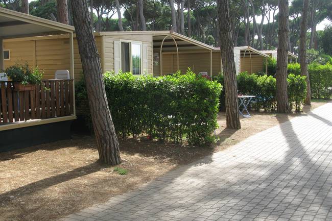 Viele-Mietbungalow-Typen