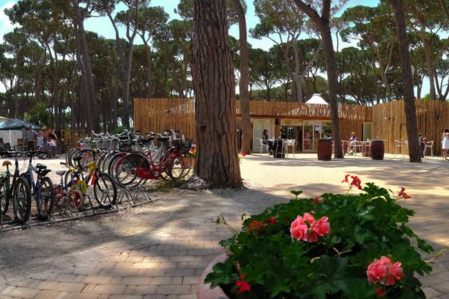 Campingplatz