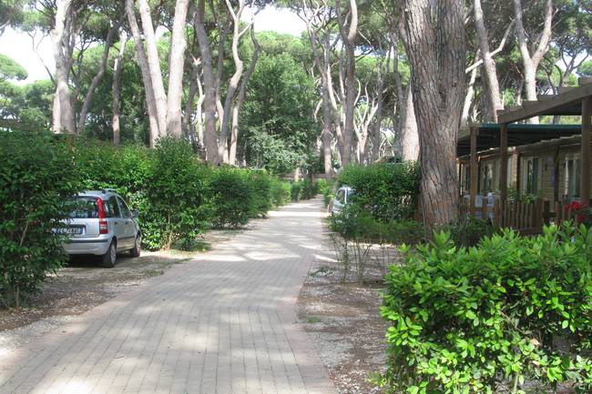 Schattige Mietbungalowsstraßen