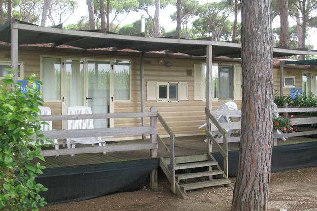 Viele-Mietbungalow-Typen