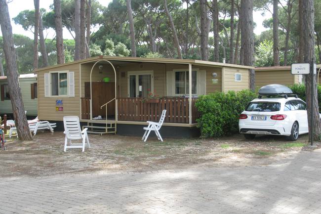 Viele-Mietbungalow-Typen