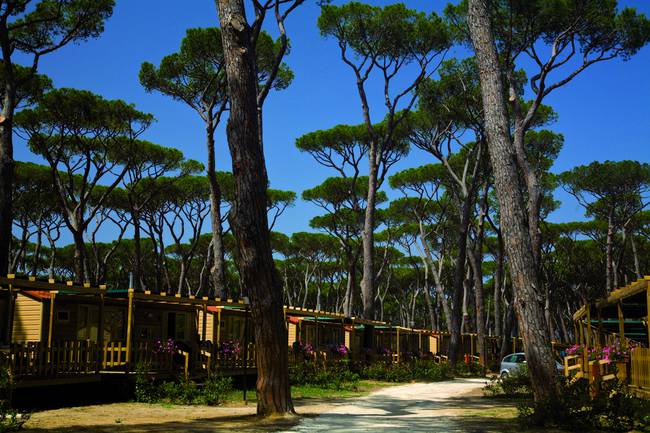 Campingplatz