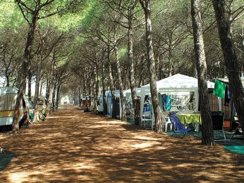 Camping Village Tuscia Tirrenica 7