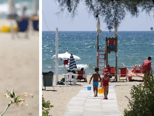 Camping Villaggio dei Pini 4