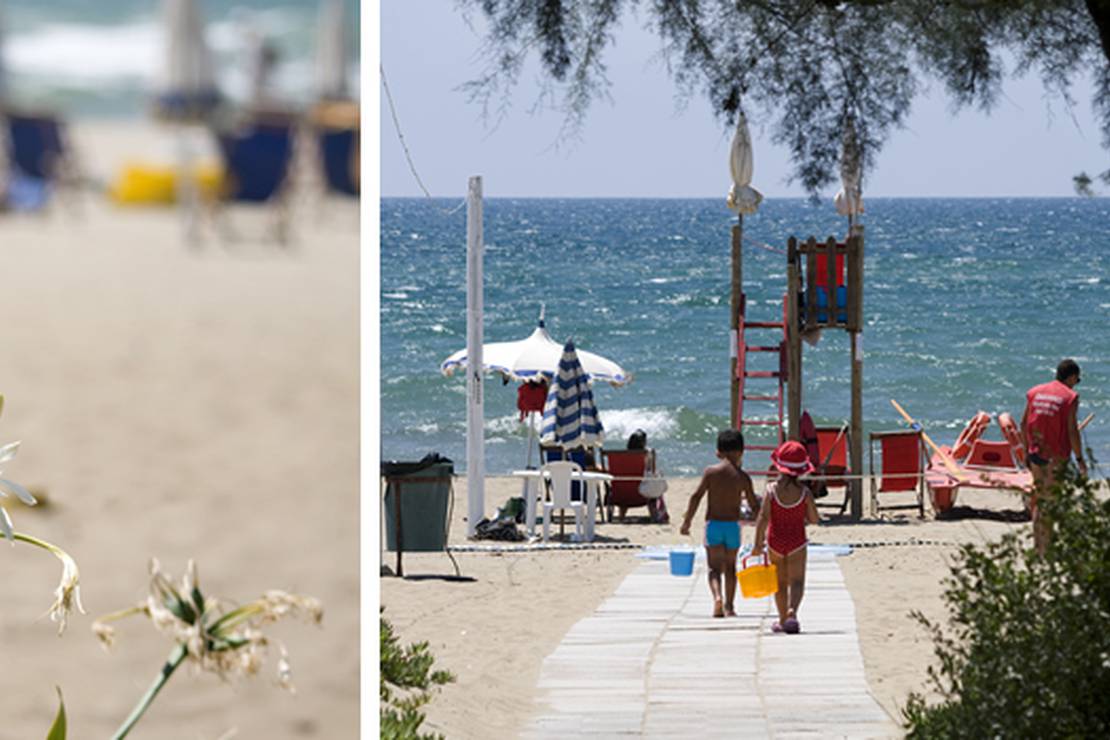 Camping Villaggio dei Pini 5