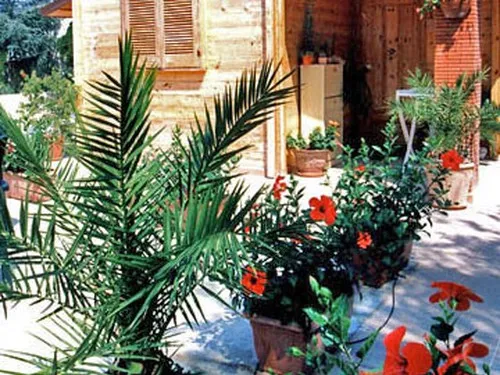 Camping Villaggio Saline 2