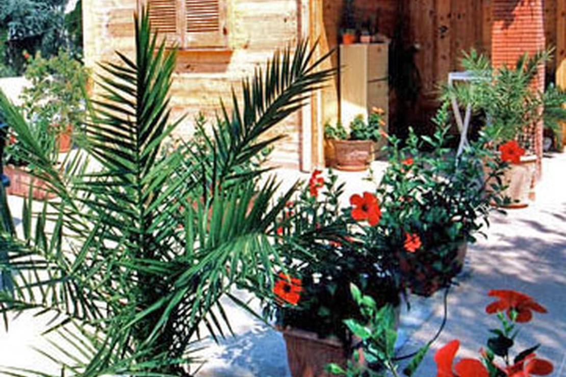 Camping Villaggio Saline 3