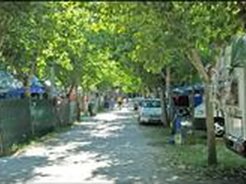 Camping Villaggio Villa Elena 4