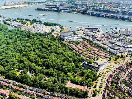 Camping Vliegenbos 7