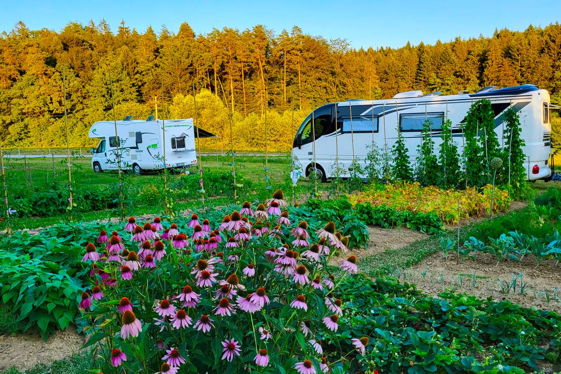 Camping & Camper Stop near Ljubljana 5