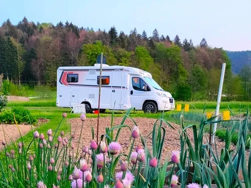 Camping & Camper Stop near Ljubljana 6