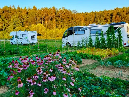 Camping & Camper Stop near Ljubljana 4